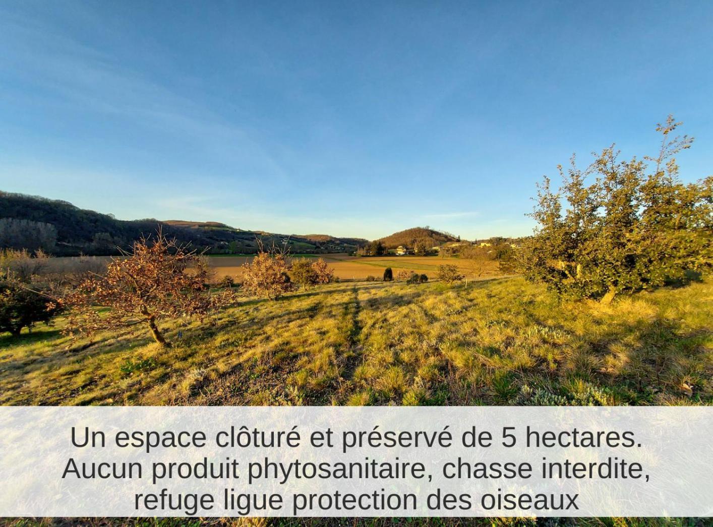 La Truffiere Des Collines - Cote Tilleul Genissieux Экстерьер фото
